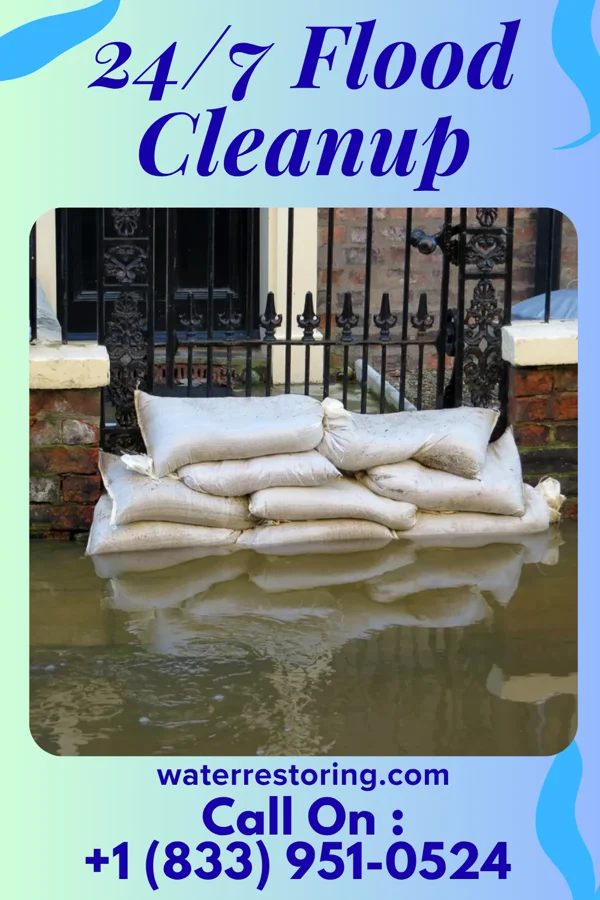24/7 Flood Cleanup in Hale Center, TX