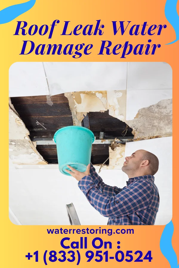 Roof Leak Water Damage Repair in Hale Center, TX